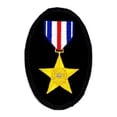 thumbnail image 1 of Silver Star Ribbon Veteran Oval Embroidered Military Patch Iron Sew PWPM5013, 1 of 1