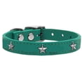 thumbnail image 1 of Silver Star Widget Genuine Leather Dog Collar, Jade - Size 24, 1 of 1