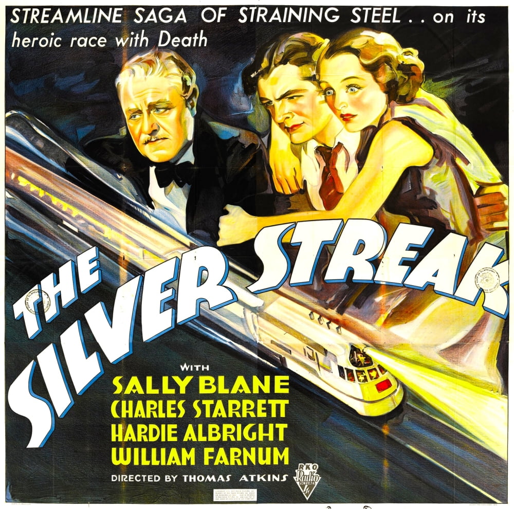 Silver Streak Canvas Art - (28 x 22)