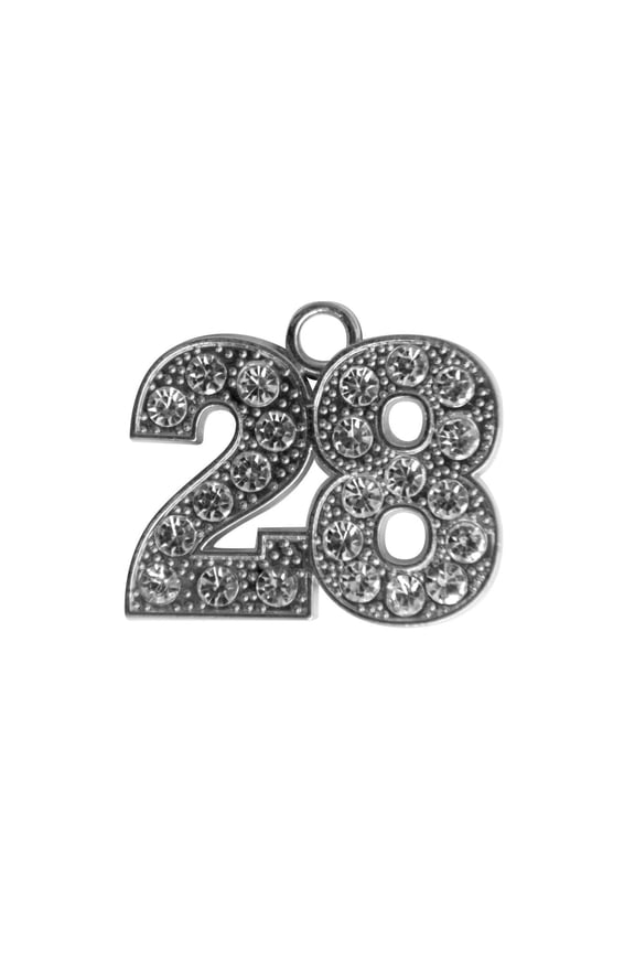 Silver Tassel Date Bling Charm Year 2028