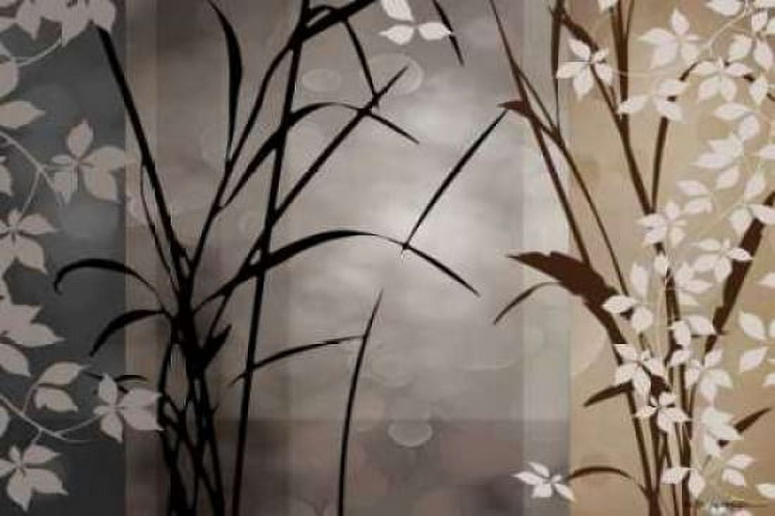 Silver Whispers II Canvas Art - Edward Aparicio (24 x 36)