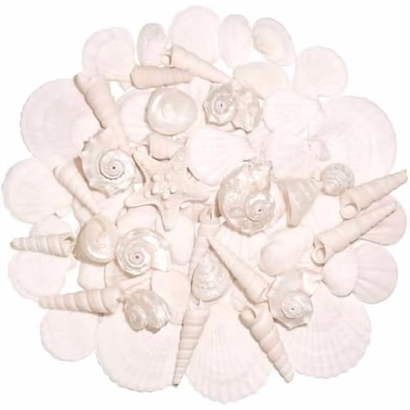 Silver White Mixed Ocean Sea Shells Set, 1.2"-2.6" Natural Seashells and Starfish for Beach Decor, DIY Crafts, Vase Fillers, Fish Tank, Home, Wedding & Party Decorations