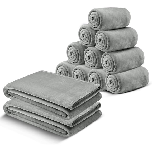 Moonlight20015 Wholesale Fleece Twin Blankets 12-Packs All-Season Soft Plush Throw for Charity, Shelter, & Home Washable, Lightweight & Cozy Silver (60"x80")