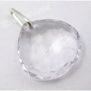 SILVERSTARJEWEL 925 Sterling Silver Clear Crystal Extra Ordinary Pendant 0.8" Birthday Gift