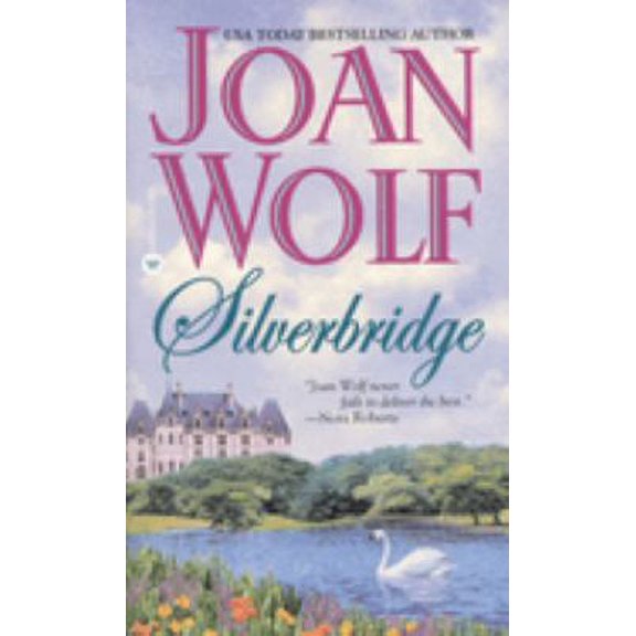 Pre-Owned Silverbridge (Paperback) 0446610429 9780446610421