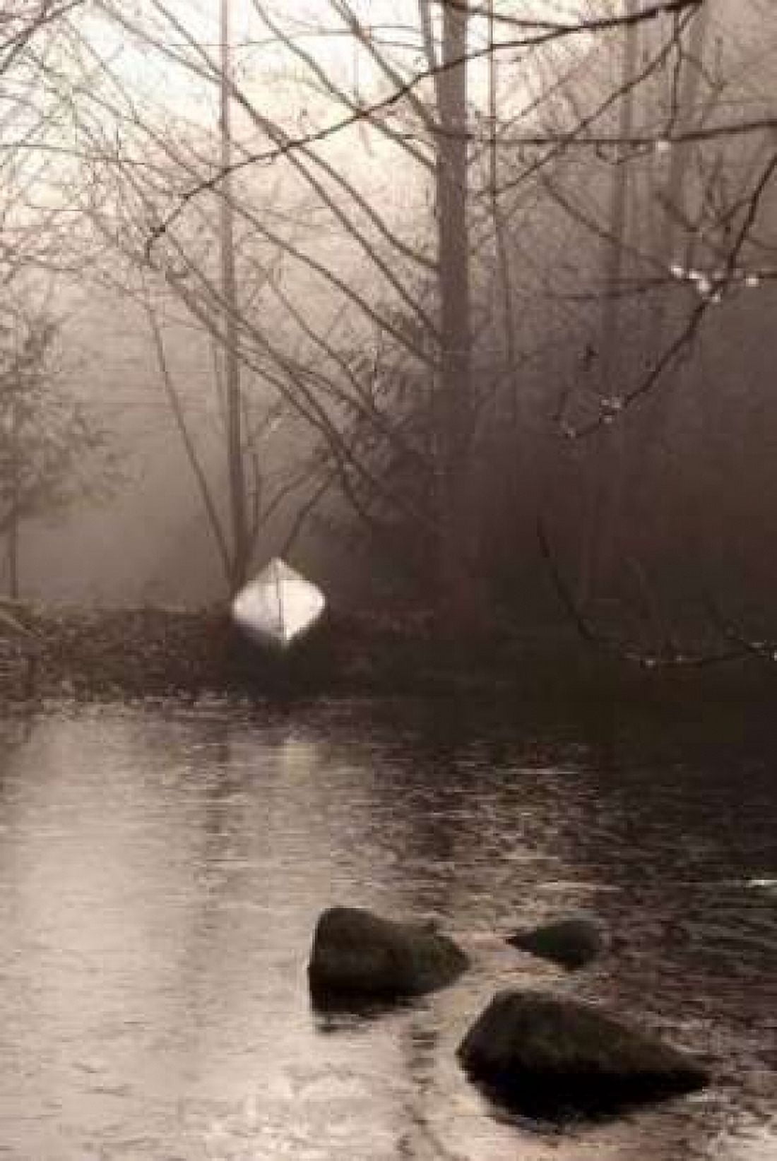 Silvered Morning Pond Canvas Art - Heather Ross (12 x 18)