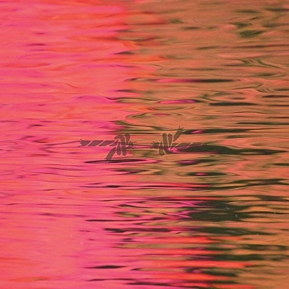 Silverstein - Dead Reflection - Music & Performance - Vinyl