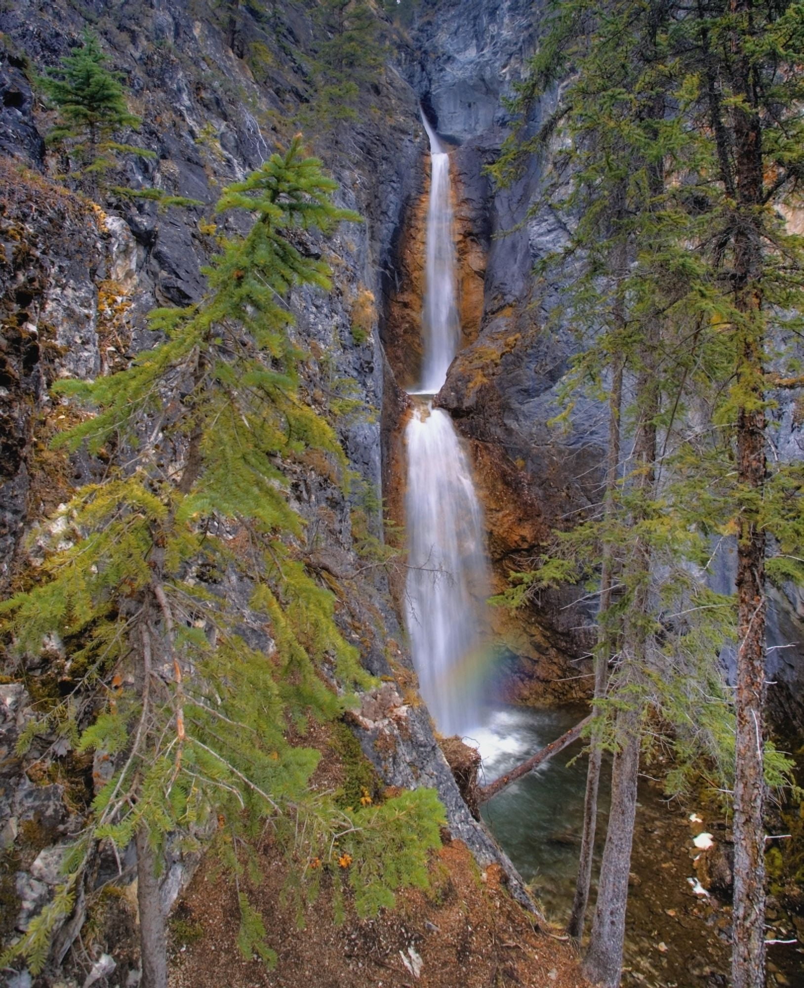 Silverton Waterfalls Banff National Park Alberta Canada Canvas Art - Carson Ganci Design Pics (24 x 30)
