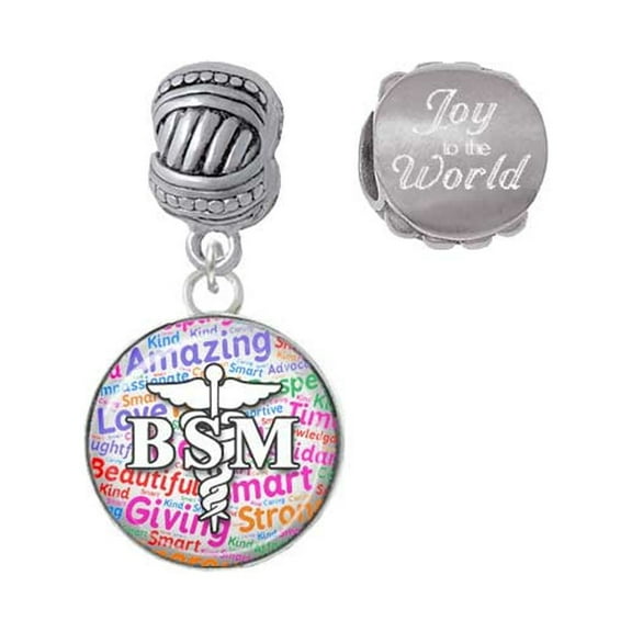 Silvertone Domed Multi Color BSM Joy to the World Charm Beads (Set of 2)