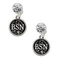 thumbnail image 1 of Silvertone Nurse Caduceus Seal - BSN Clear Crystal Clip On Earrings, 1 of 3