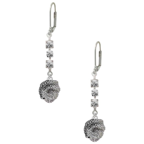 Silvertone Snake Wrapped Around Spinner Crystal Madison Leverback Earrings