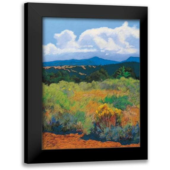 Silverwood, Mary 15x18 Black Modern Framed Museum Art Print Titled - Distant Hills