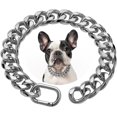 thumbnail image 1 of Silvery Chain Dog Collar - Metal Cuban Link Dog Necklace with Leather Belt, Lightweight Protect Puppy's Neck, Cute Fashion Dog Jewelry Accessories 14.5 inches, 1 of 6