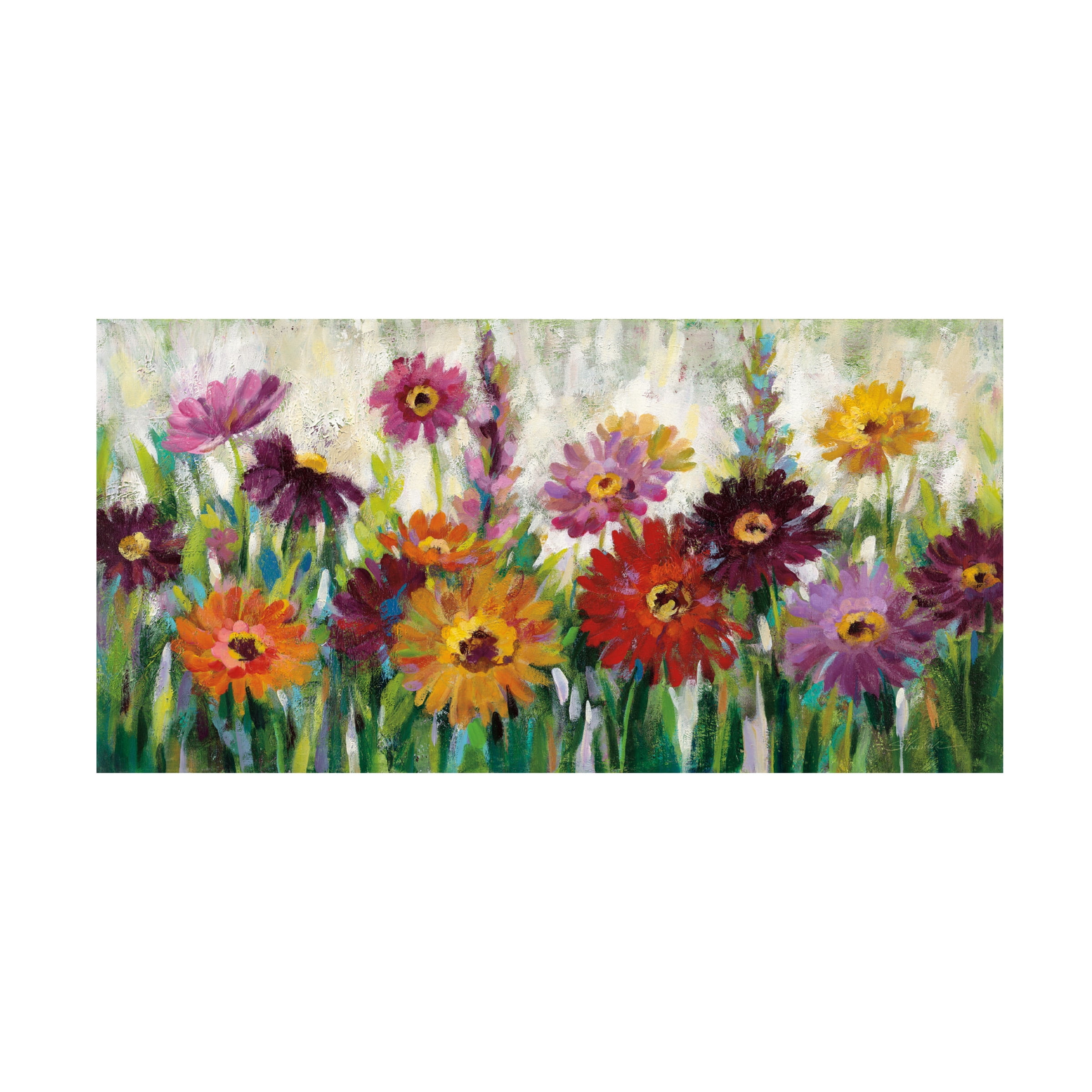 Trademark Fine Art Silvia Vassileva Jewel Daisy Gerbera Canvas Wall Art - 24x47