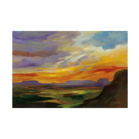 Silvia Vassileva 'Sonoran Desert Sunset' Canvas Art