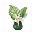 thumbnail image 1 of Silvia Vassileva 'Tropical Leaves I on White' Canvas Art, 1 of 3