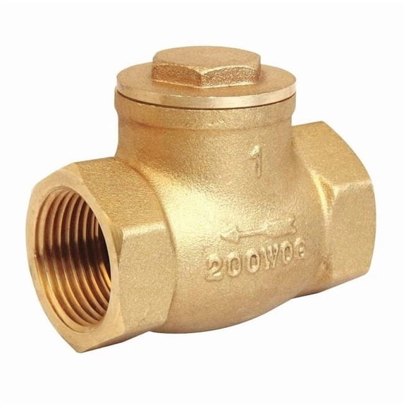 Manufacturer Varies 2" NPT Brass Swing Check Valve 10F327