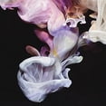 thumbnail image 1 of Simian Mobile Disco - Murmurations - Music & Performance - CD, 1 of 1