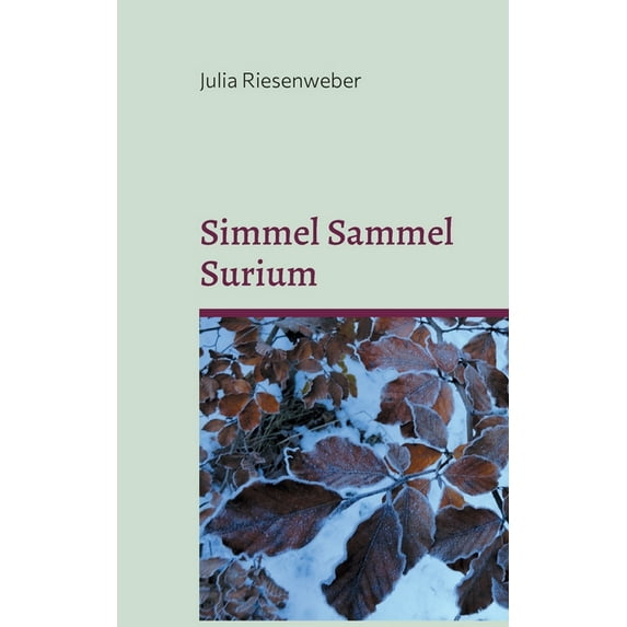 Simmel Sammel Surium: Einfühlsame Kurzgeschichten für kleine und groÃe Leseratten, (Paperback)