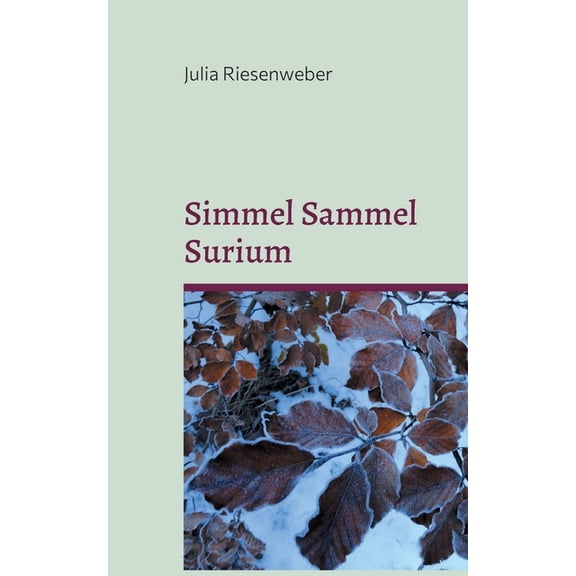 Simmel Sammel Surium: Einfhlsame Kurzgeschichten fr kleine und groe Leseratten, (Paperback)