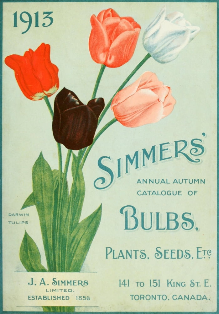 Simmers Bulbs Plants & Seeds 1913 1 Canvas Art - (18 x 24)