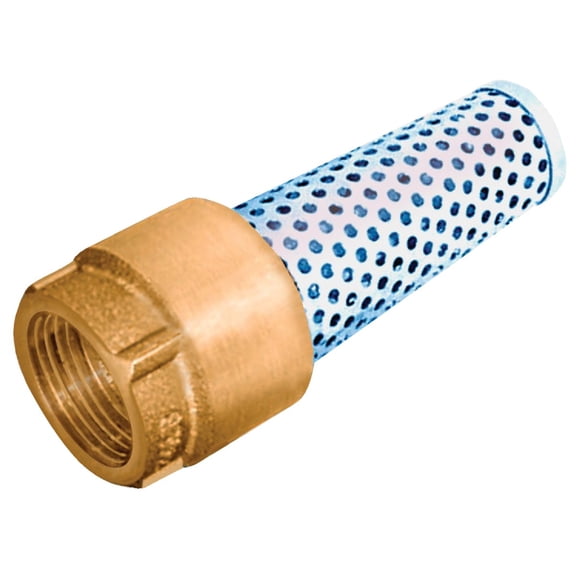 Simmons 7405 1 1/4" Low Lead Bronze Foot Valve  Residential Use, Standard Application