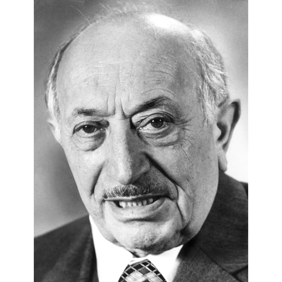 Simon Wiesenthal History (24 x 36)