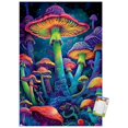 thumbnail image 1 of Simonetta Zambelli - Psychedelic Mushrooms Wall Poster, 14.725" x 22.375", 1 of 5