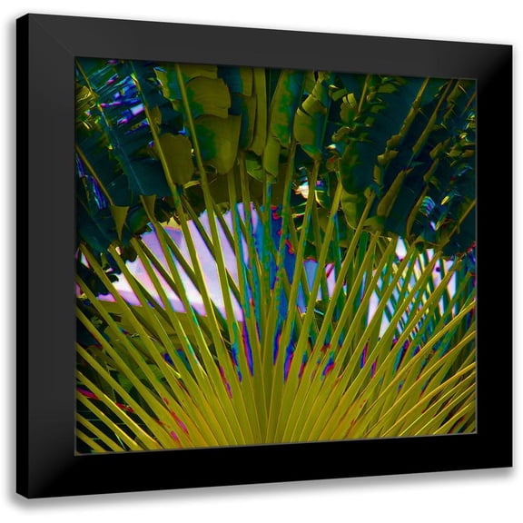 Simons 12x12 Black Modern Framed Museum Art Print Titled - Neon Palm III