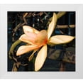 thumbnail image 1 of Simons 13x12 White Modern Wood Framed Museum Art Print Titled - Radient, 1 of 4