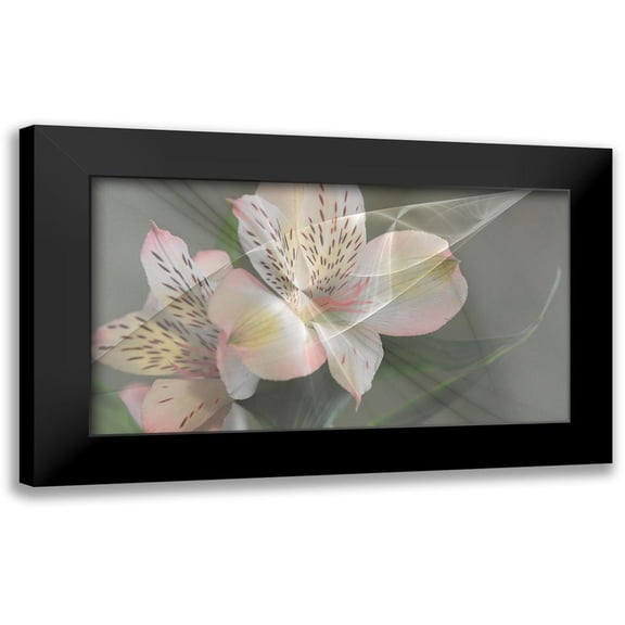 Simons 14x10 Black Modern Framed Museum Art Print Titled - Illusion in Pink