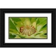 thumbnail image 1 of Simons 14x10 Black Ornate Wood Framed with Double Matting Museum Art Print Titled - Pineapple Someday, 1 of 4