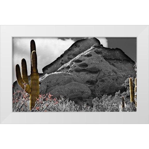 Simons 14x10 White Modern Wood Framed Museum Art Print Titled - Desert View