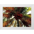 thumbnail image 1 of Simons 14x11 White Modern Wood Framed Museum Art Print Titled - Neon Palm Hot, 1 of 4