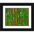 thumbnail image 1 of Simons 14x12 Black Ornate Wood Framed with Double Matting Museum Art Print Titled - Bamboo in HD I, 1 of 4