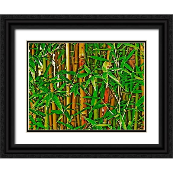 Simons 14x12 Black Ornate Wood Framed with Double Matting Museum Art Print Titled - Bamboo in HD I