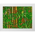 thumbnail image 1 of Simons 14x12 White Modern Wood Framed Museum Art Print Titled - Bamboo in HD I, 1 of 4
