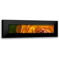 thumbnail image 1 of Simons 14x6 Black Modern Framed Museum Art Print Titled - Flower Slice Orange I, 1 of 5