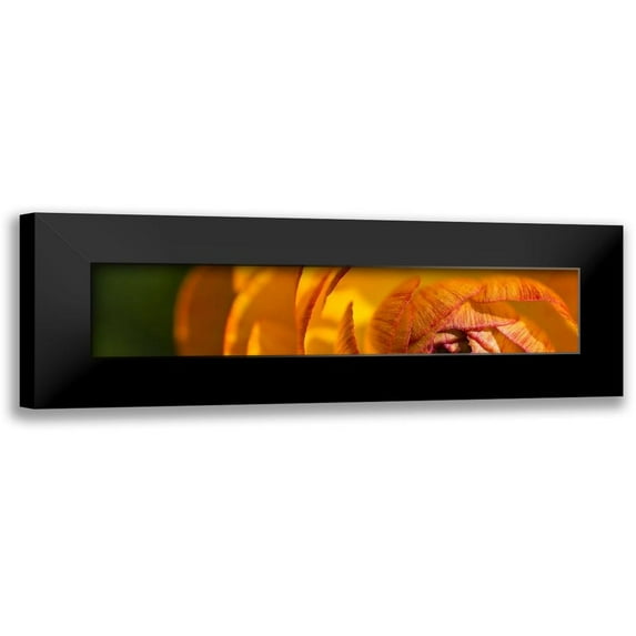 Simons 14x6 Black Modern Framed Museum Art Print Titled - Flower Slice Orange I