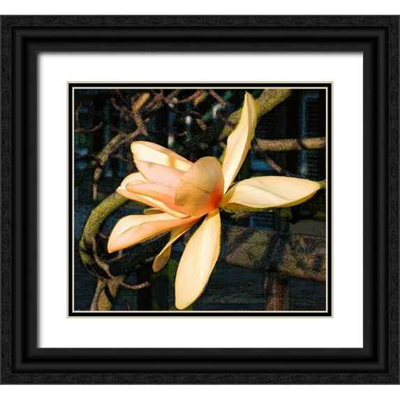 Simons 16x15 Black Ornate Wood Framed with Double Matting Museum Art Print Titled - Radient