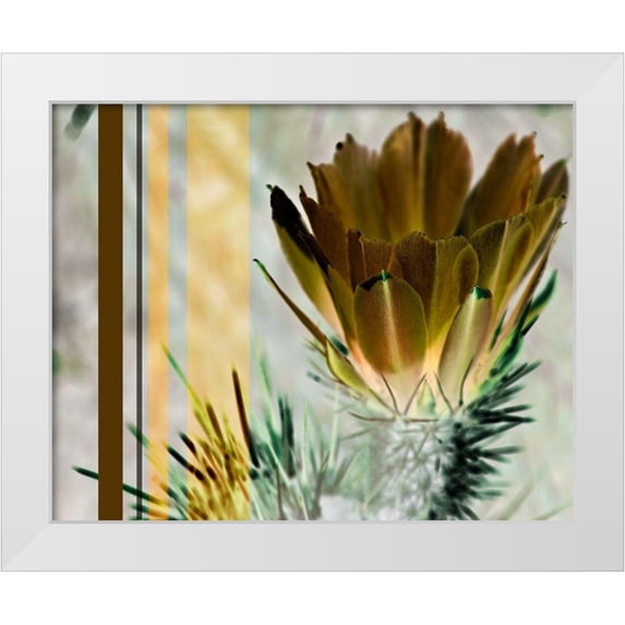 Simons 18x15 White Modern Wood Framed Museum Art Print Titled - Desert Flower