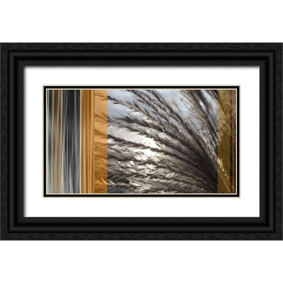 Simons 24x15 Black Ornate Wood Framed with Double Matting Museum Art Print Titled - Sunlit Amber I