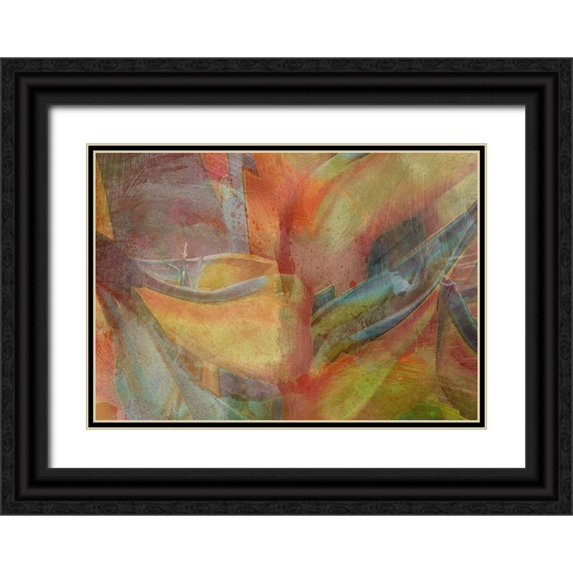 Simons 24x18 Black Ornate Wood Framed with Double Matting Museum Art Print Titled - Paradise Abstraction