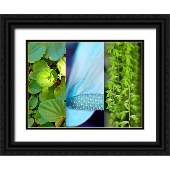 Simons 24x19 Black Ornate Wood Framed with Double Matting Museum Art Print Titled - Nature in Azure II