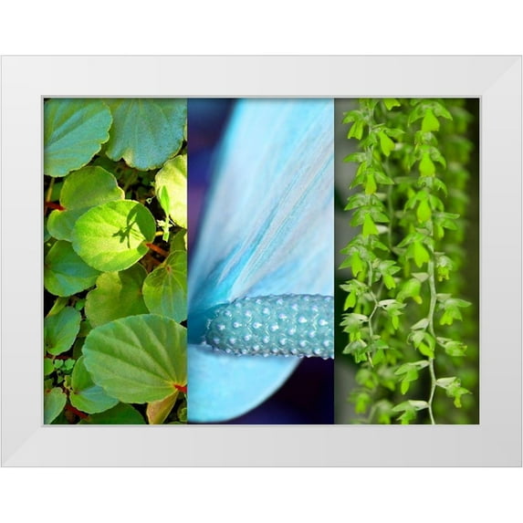 Simons 32x25 White Modern Wood Framed Museum Art Print Titled - Nature in Azure II