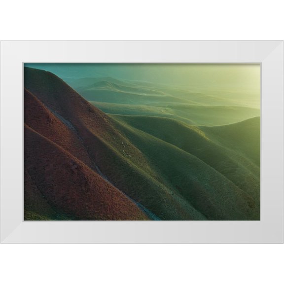 Simoon 14x11 White Modern Wood Framed Museum Art Print Titled - Natural Grassland