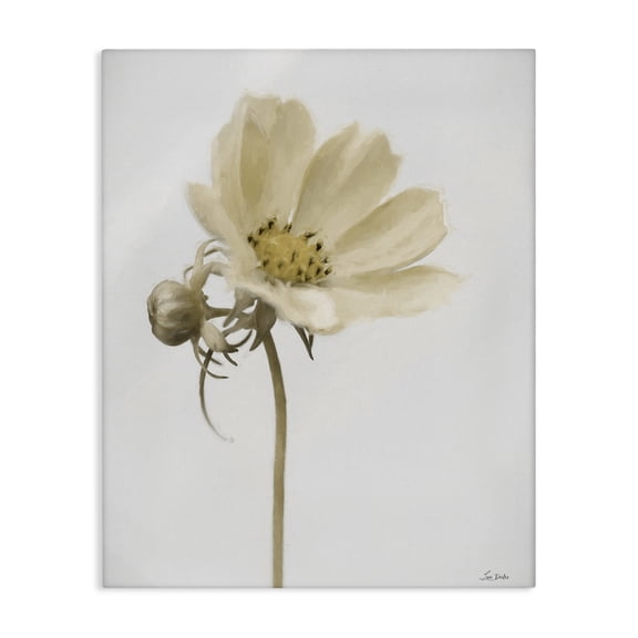 Stupell Industries Simple Beauty Soft Flower Canvas Wall Art, design by Lori Deiter