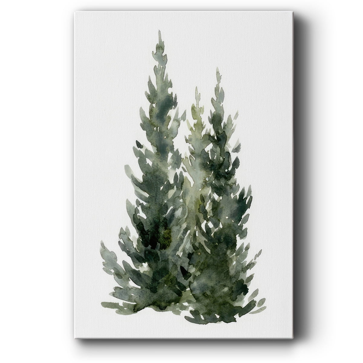 Simple Evergreens I- Gallery Wrapped Canvas