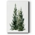 thumbnail image 1 of Simple Evergreens I- Gallery Wrapped Canvas, 1 of 9