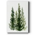 thumbnail image 1 of Simple Evergreens II- Gallery Wrapped Canvas, 1 of 9